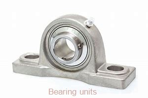 INA RASE60-N bearing units