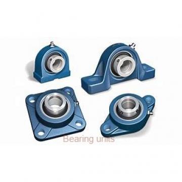 INA RASEY75 bearing units