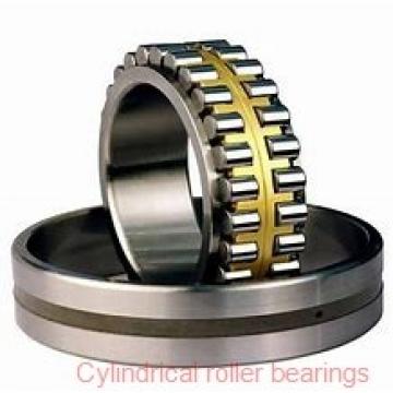 85 mm x 130 mm x 22 mm  CYSD NJ1017 cylindrical roller bearings