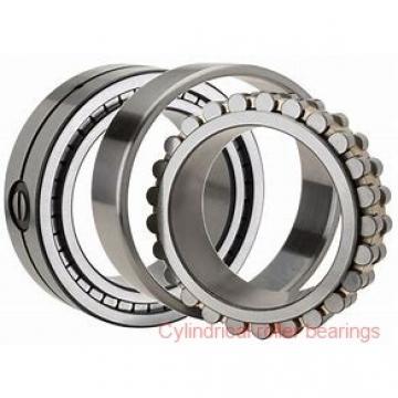 130 mm x 230 mm x 40 mm  NACHI NF 226 cylindrical roller bearings