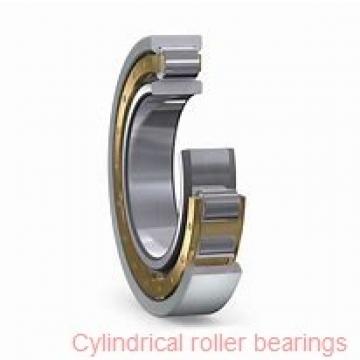 Toyana NJ202 E cylindrical roller bearings