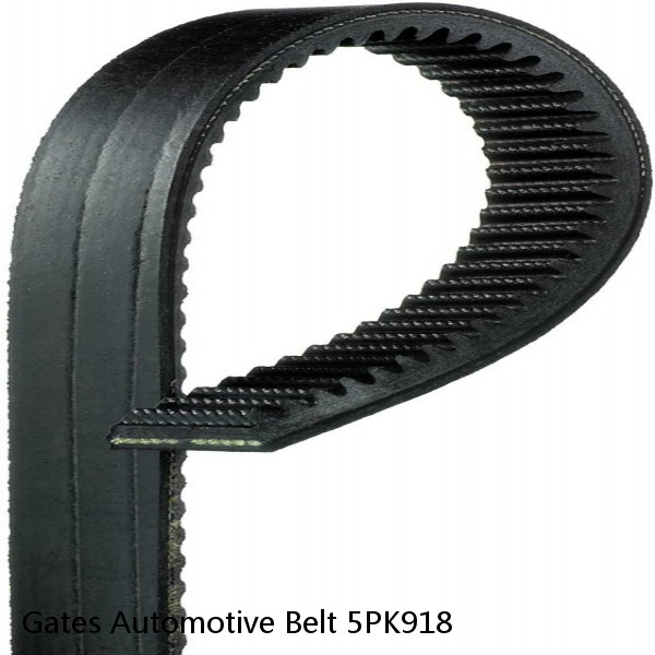 Gates Automotive Belt 5PK918