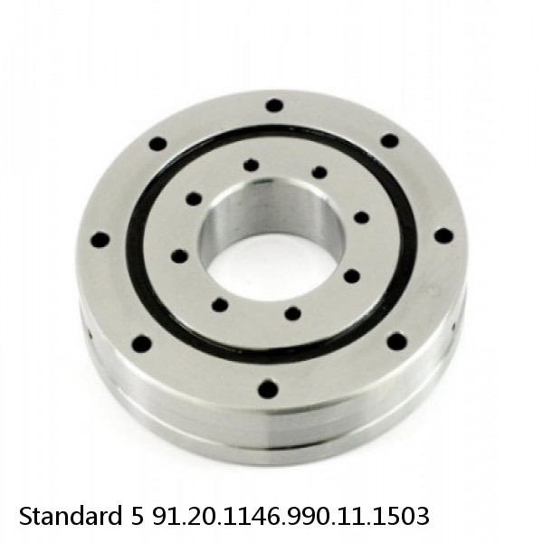 91.20.1146.990.11.1503 Standard 5 Slewing Ring Bearings