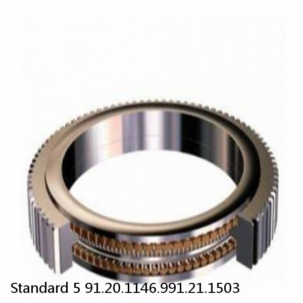 91.20.1146.991.21.1503 Standard 5 Slewing Ring Bearings