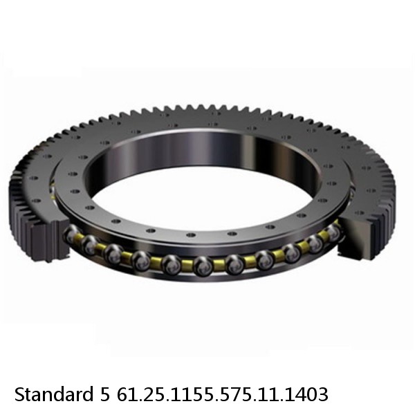 61.25.1155.575.11.1403 Standard 5 Slewing Ring Bearings