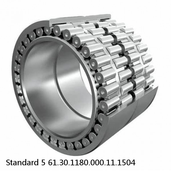 61.30.1180.000.11.1504 Standard 5 Slewing Ring Bearings