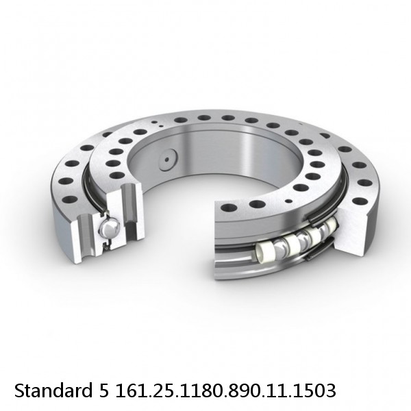 161.25.1180.890.11.1503 Standard 5 Slewing Ring Bearings