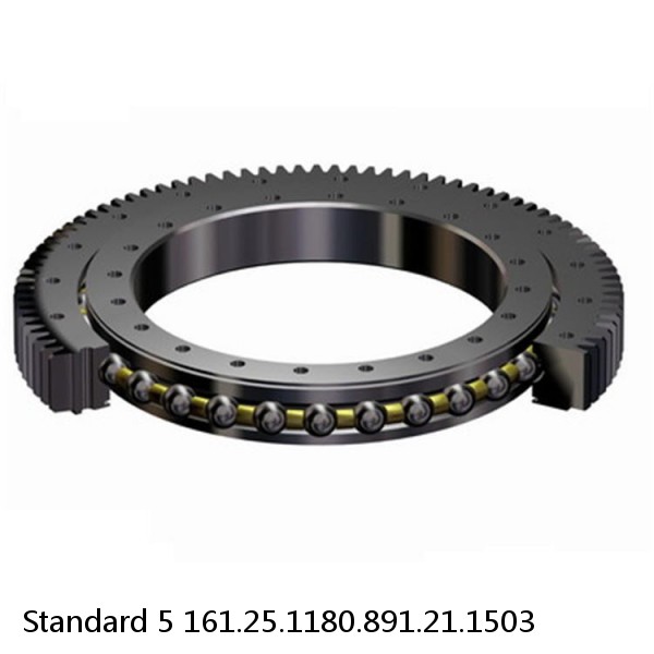 161.25.1180.891.21.1503 Standard 5 Slewing Ring Bearings