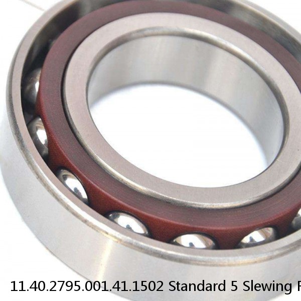 11.40.2795.001.41.1502 Standard 5 Slewing Ring Bearings