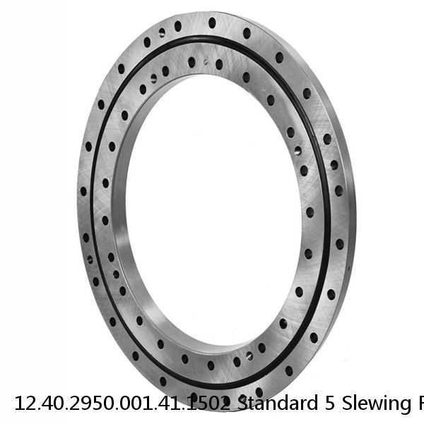 12.40.2950.001.41.1502 Standard 5 Slewing Ring Bearings