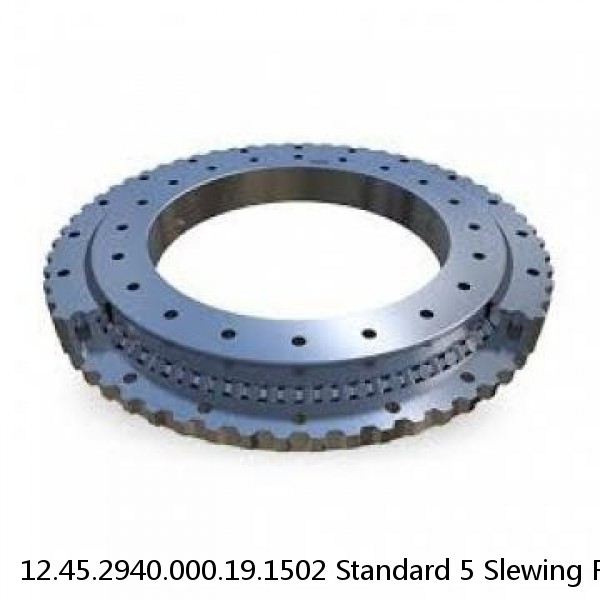 12.45.2940.000.19.1502 Standard 5 Slewing Ring Bearings