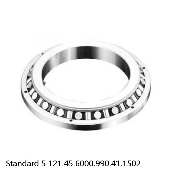 121.45.6000.990.41.1502 Standard 5 Slewing Ring Bearings