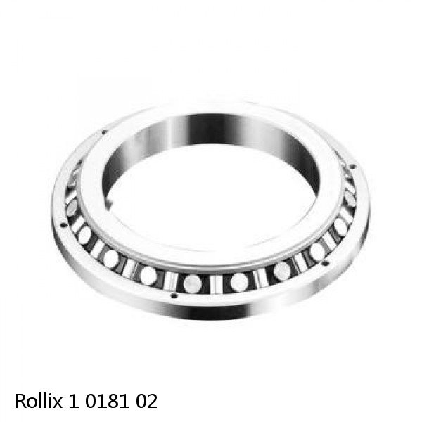 1 0181 02 Rollix Slewing Ring Bearings
