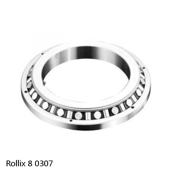 8 0307 Rollix Slewing Ring Bearings