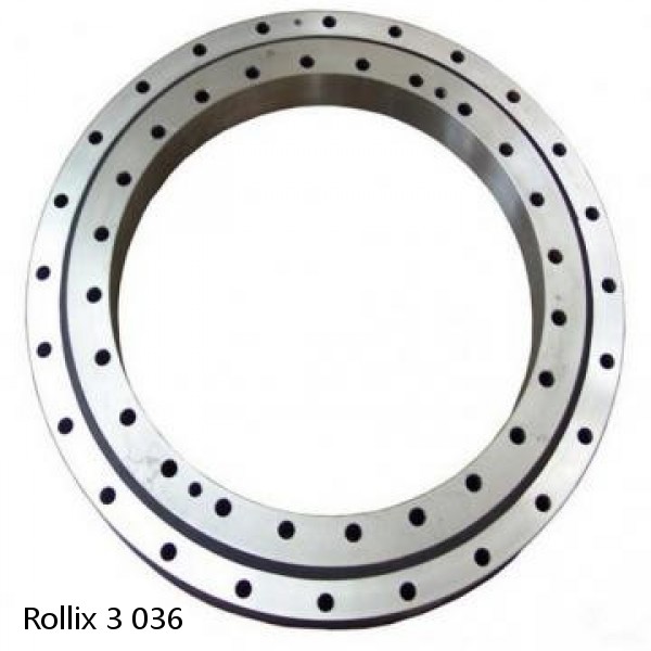3 036 Rollix Slewing Ring Bearings