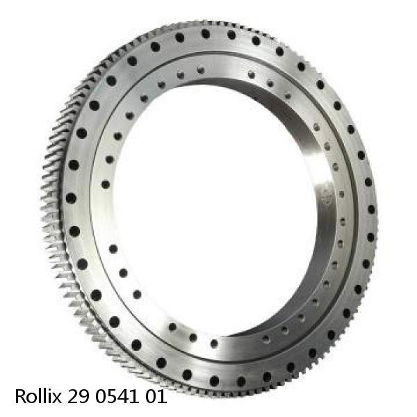 29 0541 01 Rollix Slewing Ring Bearings