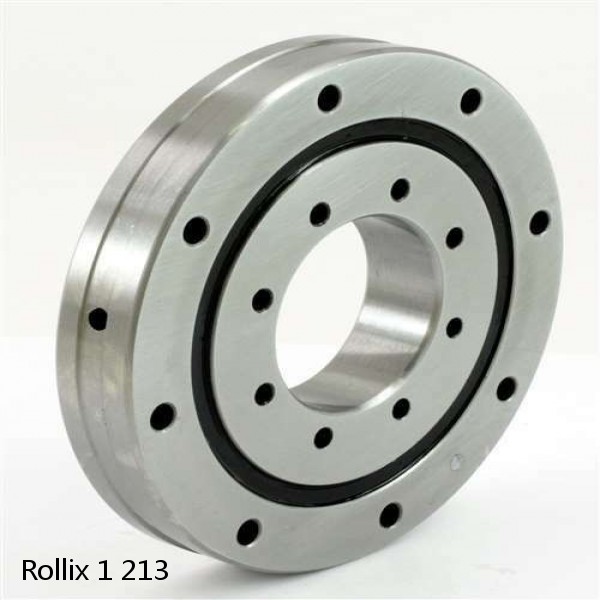 1 213 Rollix Slewing Ring Bearings