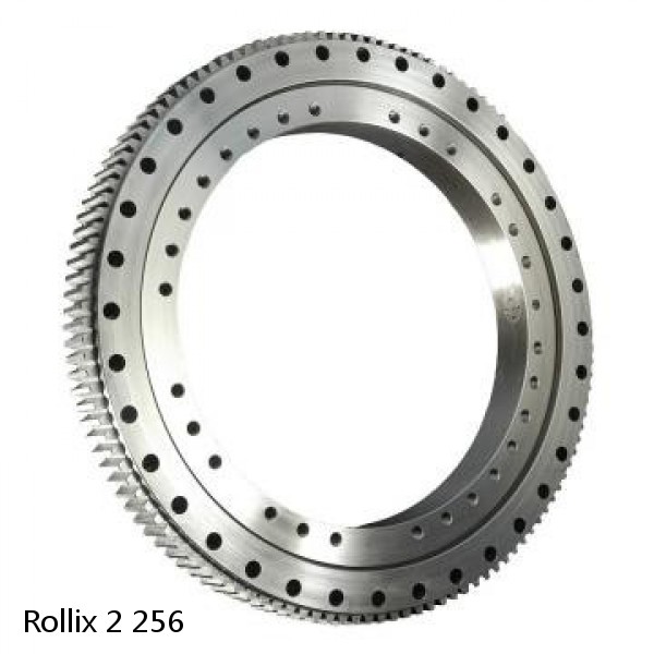 2 256 Rollix Slewing Ring Bearings