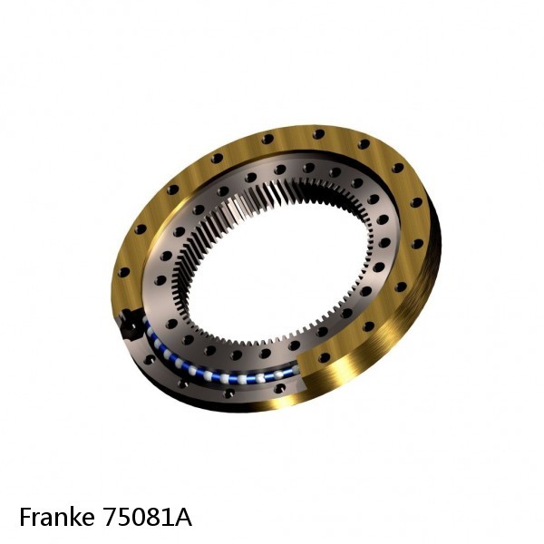 75081A Franke Slewing Ring Bearings