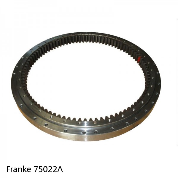 75022A Franke Slewing Ring Bearings