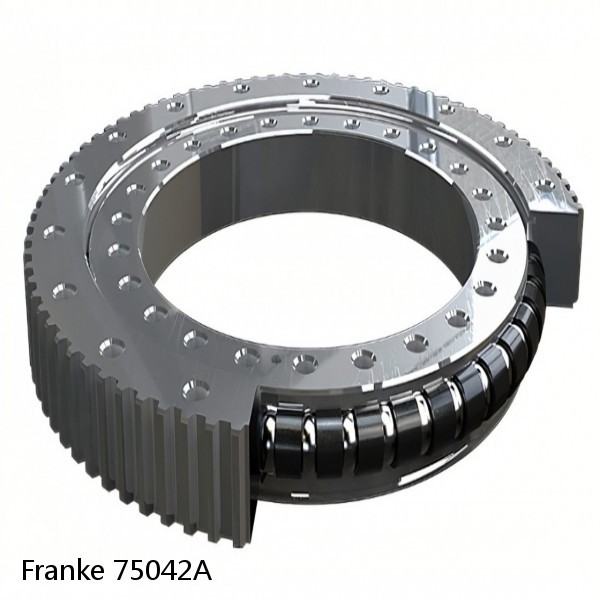 75042A Franke Slewing Ring Bearings