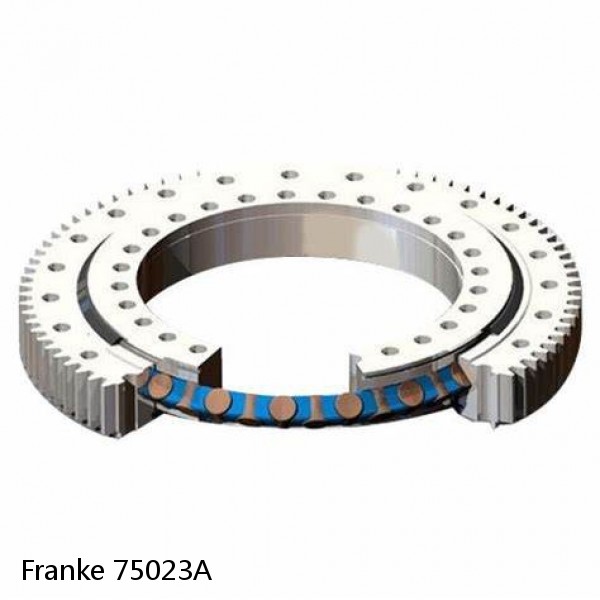 75023A Franke Slewing Ring Bearings