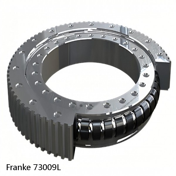 73009L Franke Slewing Ring Bearings