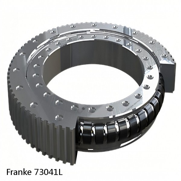 73041L Franke Slewing Ring Bearings